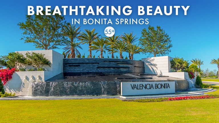 Homes In Bonita Springs Florida 55 Community In Naples