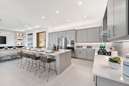 Michele Plan | Florida Real Estate - GL Homes